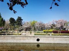 -元大都城垣遗址公园