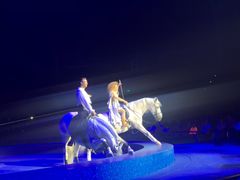 -珠海横琴长隆《卡卡虎奇遇记》