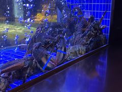 -徐记海鲜(观沙岭|滨江新城店)