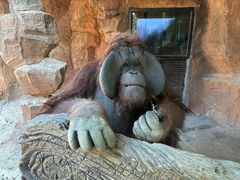 -杭州野生动物世界