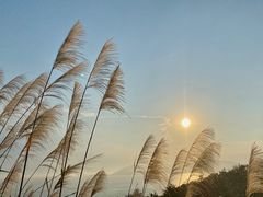 -东极岛景区