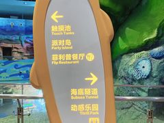 -青岛嘉年华主题乐园