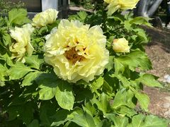 -国家植物园南园