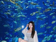 -南昌融创海世界