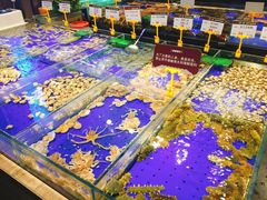-船歌·鱼水饺青岛菜(闽江二路店)