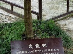 -太湖源风景区