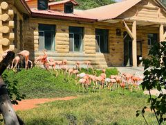 -哈尔滨北方森林动物园