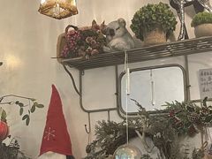 -春风·有糖(崇宁路店)