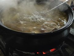 -蘑统田下·野生菌火锅