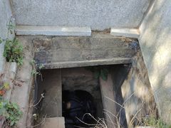 -黄埔油麻山森林公园