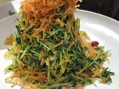 巧拌豆苗-四季民福烤鸭店(王府井灯市口店)