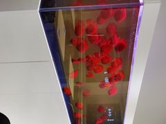-蟹小满·蟹黄捞面(杭州西湖店)