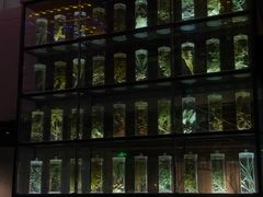 -广东中医药博物馆