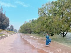 -宝安西湾红树林湿地公园