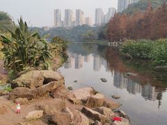 -重庆彩云湖湿地公园