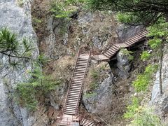 -秦岭天竺山生态文化旅游景区