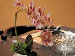 -羽鸽集·乳鸽专门店·地道顺德菜(岭南站店)