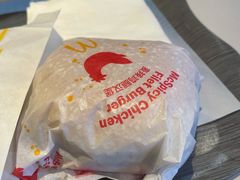 -麦当劳(长沙东风路店)