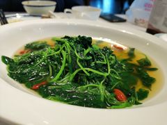 -禧宴Joyous Restaurant(禧园店)
