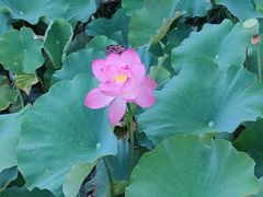 -贵阳蓬莱仙界