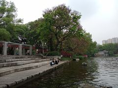 -荔湾湖公园