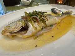 雪菜笋丝蒸黄鱼-老洋房花园饭店(绍兴路店)