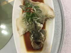 -步步高·粤北之珠海鲜坊