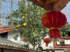 -青城甲(青城山店)