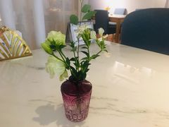 -伊斯坦布尔土耳其清真咖啡餐厅