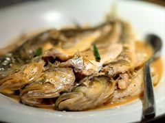 家烧胶东杂鱼-KŌNG胶东小馆·酒馆(华熙店)