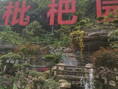 -枇杷园食为鲜火锅(南山店)
