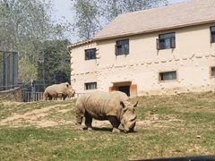 -大连森林动物园