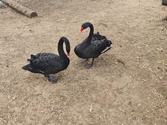 -南戴河国际娱乐中心