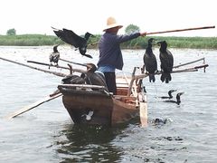 -白洋淀景区