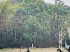 -青龙山国家森林公园