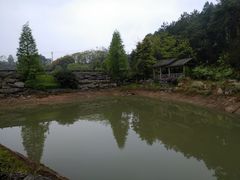 -铁山坪森林公园