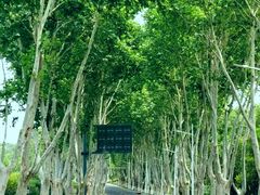 -钟山体育运动公园