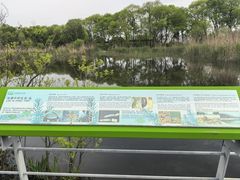 -西湖风景区-江洋畈生态公园