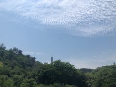 -巢湖姥山岛