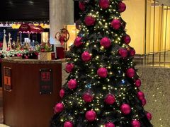 -上海锦江汤臣洲际大酒店壹阶层