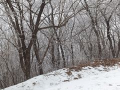 -香山公园