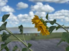 -呼和诺尔旅游景区