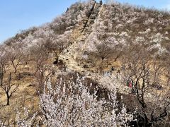 -龙泉峪长城