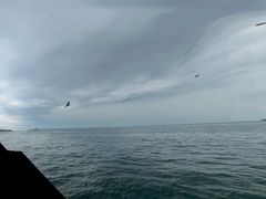 -星海湾跨海大桥