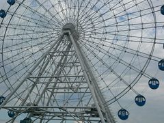 -秦皇岛乐岛海洋王国