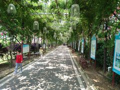 -武汉紫薇都市田园