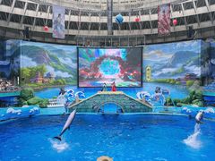 -海合安成都极地海洋公园