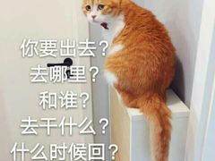 -火炉火自助餐(悠唐购物中心店)