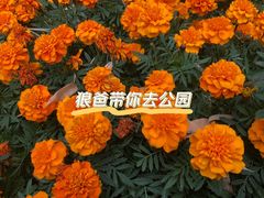 -月坛公园