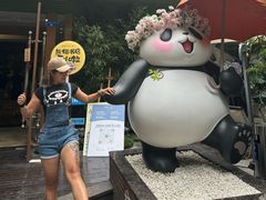 -轩客会(熊猫书店)